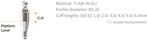 abutment