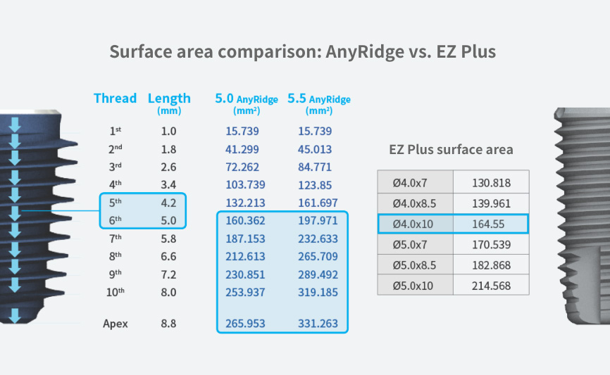 surface area