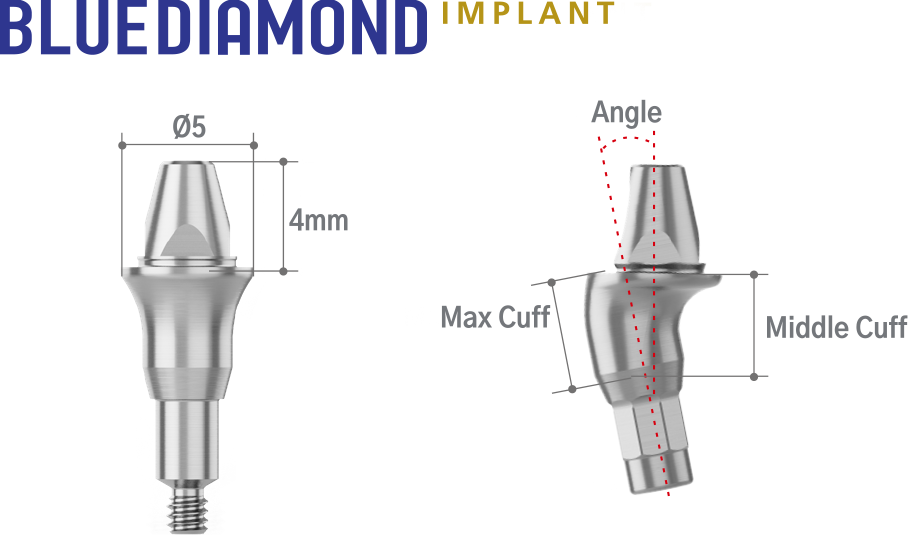 AXA Abutment